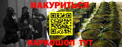 наркотики Дубна
